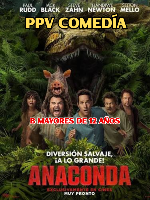 OBO PPV